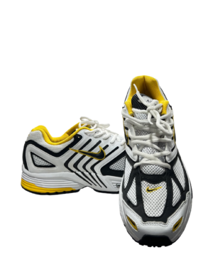 Nike Pegasus (43)