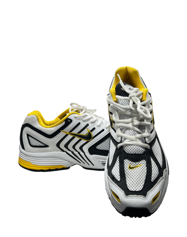 Nike Pegasus (43)